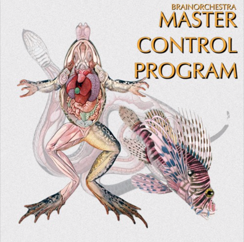 A_Sarr "MASTER CONTROL PROGRAM (FULL) - 10" VINYL